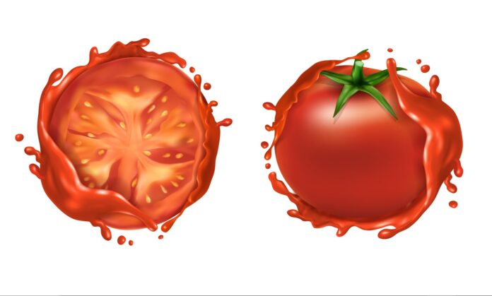 paragunlugu-metaversede-ucan-domatesler-yaratici-sanal-tarim-fikirleri